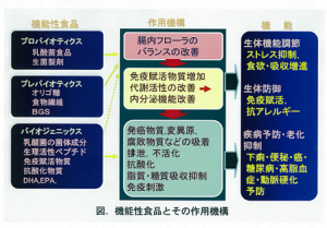 光岡先生⑤　スライド